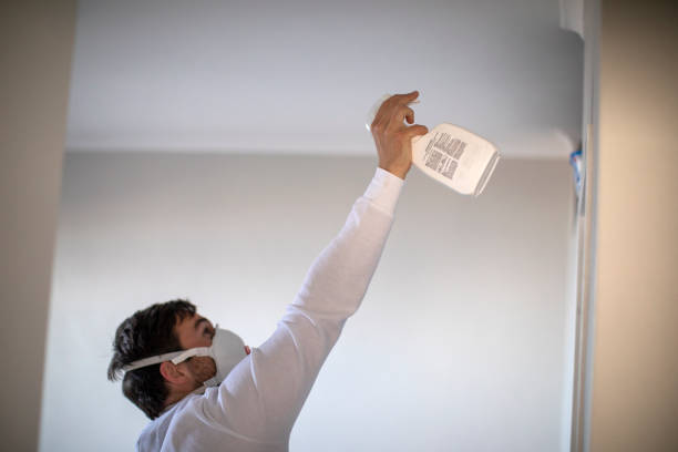 Best Basement Mold Remediation in Rockwell Place, TX
