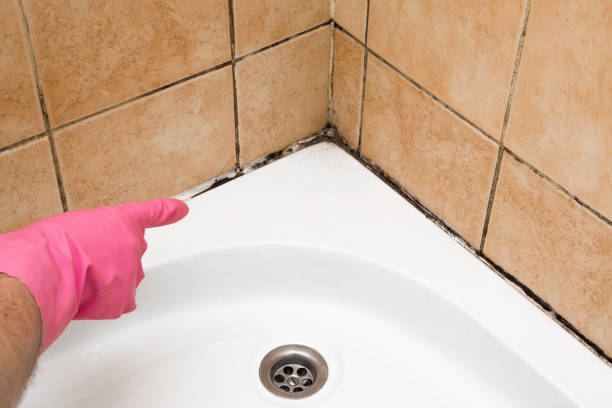 Best Mold Testing and Inspection Services in Rockwell Place, TX